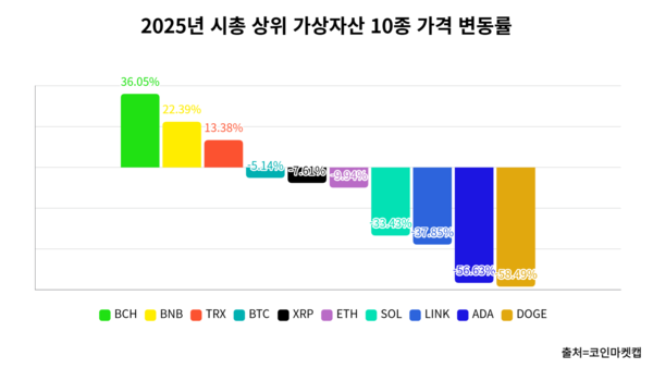 2025년 다 떨어졌지만 '이 코인' 가격은 36% 올랐다